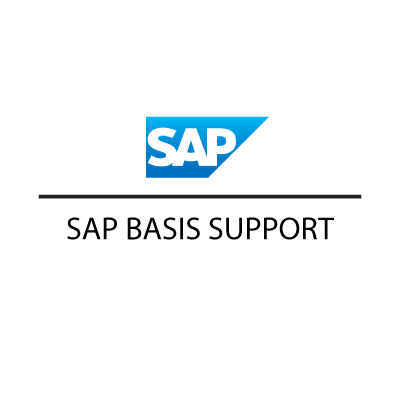 sap basis support